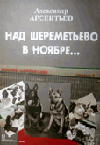 Над Шереметьево в ноябре...